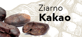 Ziarno kakao